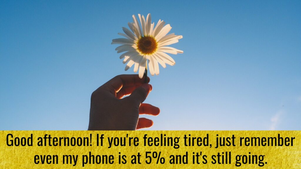 Funny Good Afternoon Messages to Make her smile